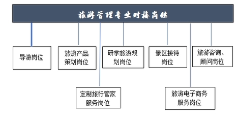 旅游管理與職業中介 協同發展，共創行業新機遇
