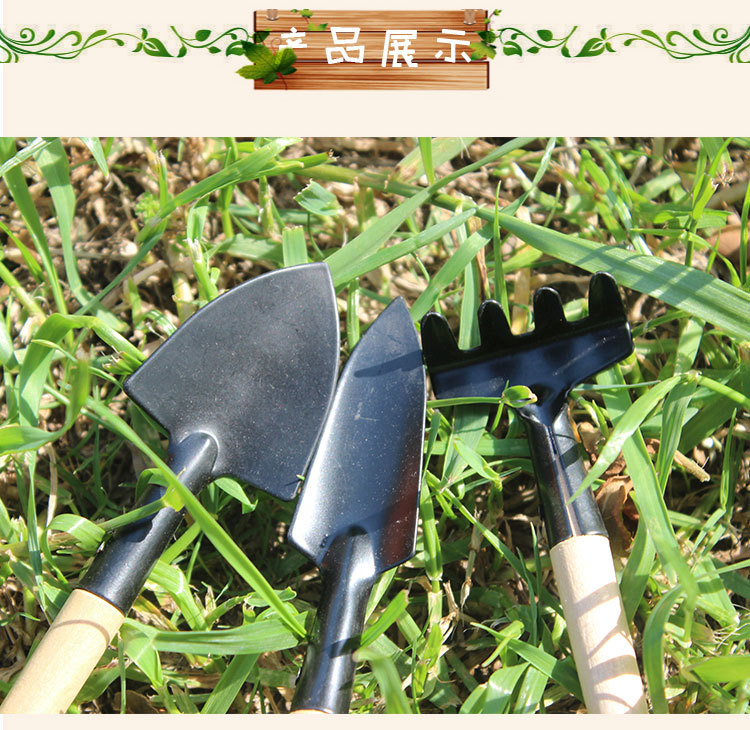 園藝新手必備 8800迷你工具三件套帶你輕松入門多肉種植