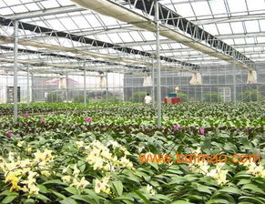 建種植溫室需要多少錢？需要哪些材料？請咨詢青州市鑫和溫室園藝
